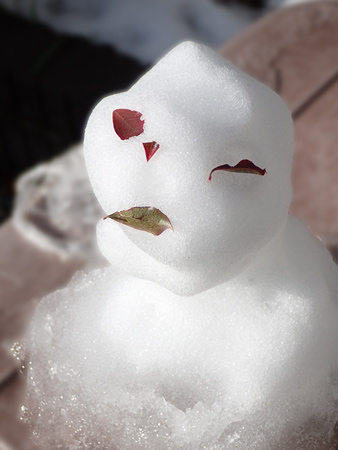 2016-11-24%e9%9b%aa%e3%81%a0%e3%82%8b%e3%81%be%e3%80%80%e6%9d%be%e5%b3%b6